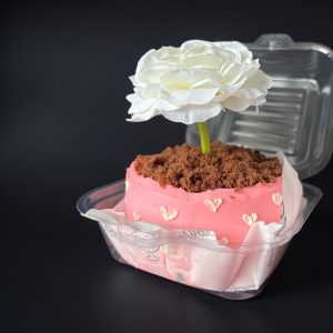 Flower Pot Bento Cake